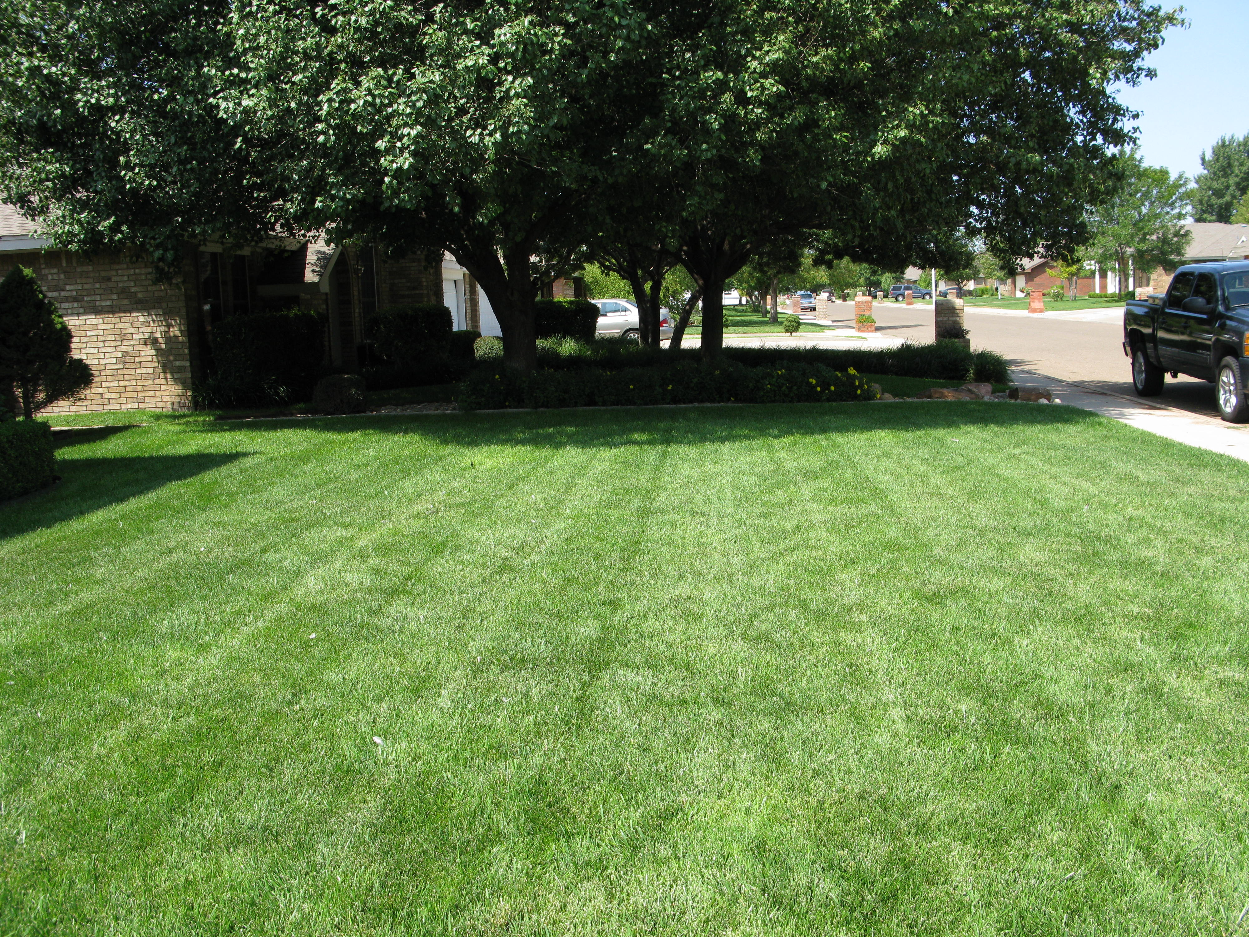 Project Turf & Grass for your home